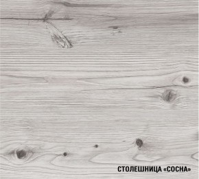 АСАЯ Кухонный гарнитур Экстра 2 (3000 мм) ПМ в Новоуральске - novouralsk.ok-mebel.com | фото 8
