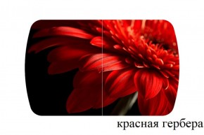 БОСТОН - 3 Стол раздвижной 1100/1420 опоры Триумф в Новоуральске - novouralsk.ok-mebel.com | фото 18