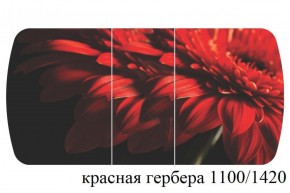БОСТОН - 3 Стол раздвижной 1100/1420 опоры Триумф в Новоуральске - novouralsk.ok-mebel.com | фото 19