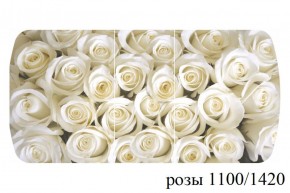 БОСТОН - 3 Стол раздвижной 1100/1420 опоры Триумф в Новоуральске - novouralsk.ok-mebel.com | фото 37