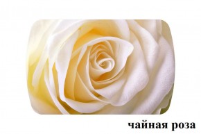 БОСТОН - 3 Стол раздвижной 1100/1420 опоры Триумф в Новоуральске - novouralsk.ok-mebel.com | фото 47