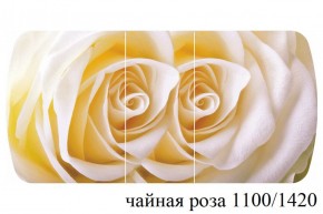 БОСТОН - 3 Стол раздвижной 1100/1420 опоры Триумф в Новоуральске - novouralsk.ok-mebel.com | фото 48