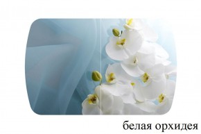 БОСТОН - 3 Стол раздвижной 1100/1420 опоры Триумф в Новоуральске - novouralsk.ok-mebel.com | фото 8
