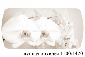 БОСТОН - 3 Стол раздвижной Лунная орхидея 1100/1420 опоры Триумф в Новоуральске - novouralsk.ok-mebel.com | фото 3