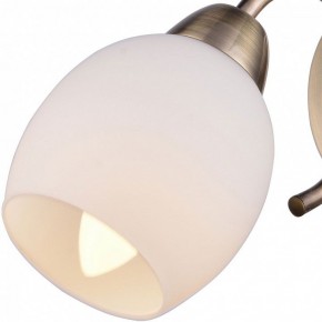 Бра TopLight Merry TL3780B-01AB в Новоуральске - novouralsk.ok-mebel.com | фото 2