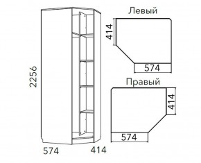 Детская Фанк Шкаф угловой Левый/Правый НМ 013.04-02 М в Новоуральске - novouralsk.ok-mebel.com | фото 3