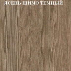 Кровать 2-х ярусная с диваном Карамель 75 (Биг Бен) Ясень шимо светлый/темный в Новоуральске - novouralsk.ok-mebel.com | фото 5
