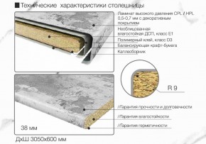 Кухонный фартук со столешницей (А-01) в едином стиле (3050 мм) в Новоуральске - novouralsk.ok-mebel.com | фото 6