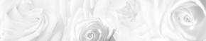 Кухонный фартук Цветы 217 МДФ матовый (3000) Flowers в Новоуральске - novouralsk.ok-mebel.com | фото