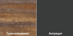 Кухонный гарнитур угловой Трансильвания 2600х1600 мм (Стол. 38 мм) в Новоуральске - novouralsk.ok-mebel.com | фото 3