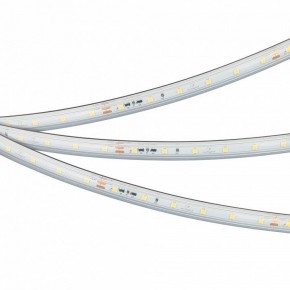 Лента светодиодная Arlight IC-PS-A60-10mm 24V 050656 в Новоуральске - novouralsk.ok-mebel.com | фото