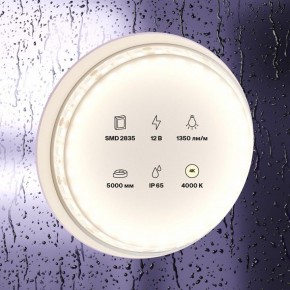 Лента светодиодная Maytoni Led strip 10118 в Новоуральске - novouralsk.ok-mebel.com | фото 2