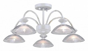 Люстра на штанге Arti Lampadari Noventa Noventa E 1.1.5 W в Новоуральске - novouralsk.ok-mebel.com | фото