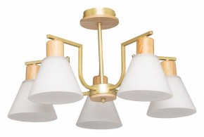 Люстра на штанге De City Дэла 45 635016505 в Новоуральске - novouralsk.ok-mebel.com | фото