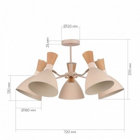 Люстра на штанге EVOLUCE VISTA SLE1256-502-05 в Новоуральске - novouralsk.ok-mebel.com | фото 8