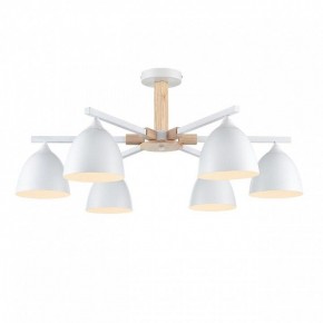 Люстра на штанге Lumion Colange 8095/6C в Новоуральске - novouralsk.ok-mebel.com | фото 2