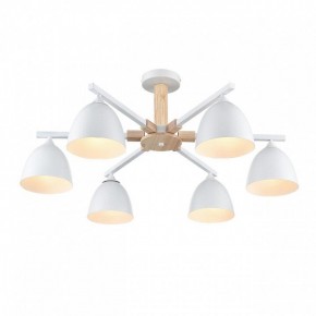 Люстра на штанге Lumion Colange 8095/6C в Новоуральске - novouralsk.ok-mebel.com | фото 3