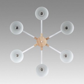 Люстра на штанге Lumion Colange 8095/6C в Новоуральске - novouralsk.ok-mebel.com | фото 4