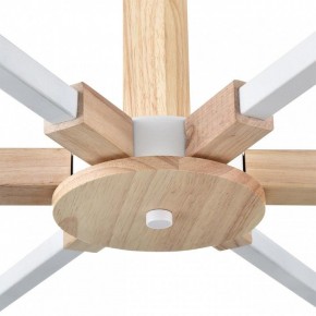Люстра на штанге Lumion Colange 8095/6C в Новоуральске - novouralsk.ok-mebel.com | фото 7