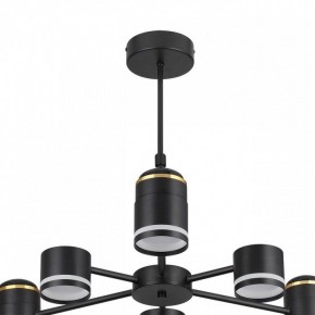 Люстра на штанге Lumion Virsava 8234/6C в Новоуральске - novouralsk.ok-mebel.com | фото 5
