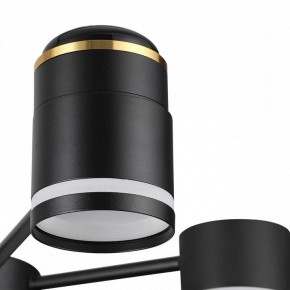 Люстра на штанге Lumion Virsava 8234/6C в Новоуральске - novouralsk.ok-mebel.com | фото 8