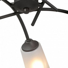 Люстра на штанге Vitaluce V2850 V2850-1/5PL в Новоуральске - novouralsk.ok-mebel.com | фото 6