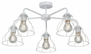 Люстра на штанге Vitaluce V3102 V3102-0/5PL в Новоуральске - novouralsk.ok-mebel.com | фото