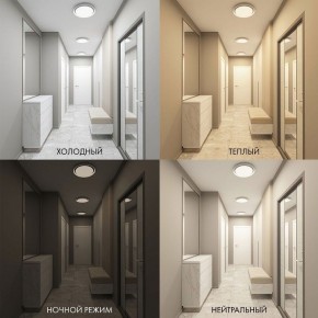 Накладной светильник Denkirs Cany DK6516-WH в Новоуральске - novouralsk.ok-mebel.com | фото 2