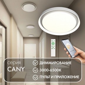 Накладной светильник Denkirs Cany DK6516-WH в Новоуральске - novouralsk.ok-mebel.com | фото 4