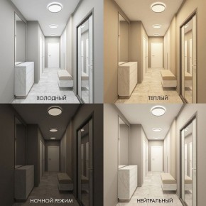 Накладной светильник Denkirs PLATO DK6510-WH в Новоуральске - novouralsk.ok-mebel.com | фото 2