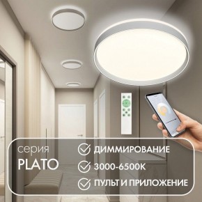 Накладной светильник Denkirs PLATO DK6511-WH/1 в Новоуральске - novouralsk.ok-mebel.com | фото 4