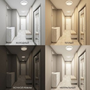 Накладной светильник Denkirs PLATO DK6511-WH/1 в Новоуральске - novouralsk.ok-mebel.com | фото 5