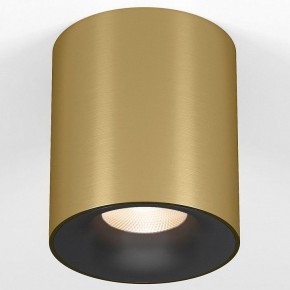 Накладной светильник Elektrostandard Primo 25116/LED в Новоуральске - novouralsk.ok-mebel.com | фото