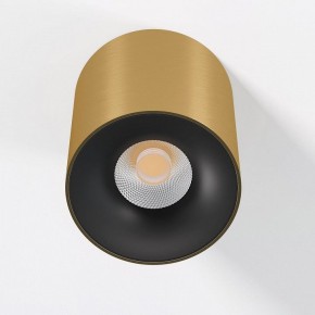 Накладной светильник Elektrostandard Primo 25116/LED в Новоуральске - novouralsk.ok-mebel.com | фото