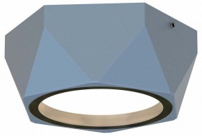Накладной светильник Favourite Fantum 4669-1U в Новоуральске - novouralsk.ok-mebel.com | фото