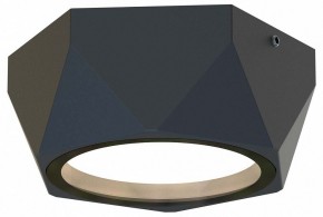 Накладной светильник Favourite Fantum 4670-1U в Новоуральске - novouralsk.ok-mebel.com | фото
