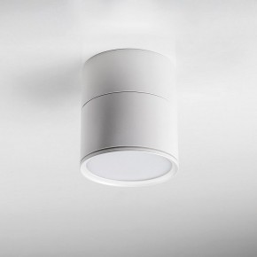 Накладной светильник Lightstar Acuto 215886 в Новоуральске - novouralsk.ok-mebel.com | фото 3
