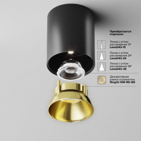 Накладной светильник Maytoni Alfa LED C064CL-12W4K-RD-B в Новоуральске - novouralsk.ok-mebel.com | фото 3