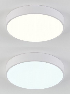 Накладной светильник Natali Kovaltseva  LED LAMPS 81111/5C в Новоуральске - novouralsk.ok-mebel.com | фото 4