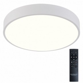 Накладной светильник Natali Kovaltseva  LED LAMPS 81112/5C в Новоуральске - novouralsk.ok-mebel.com | фото 2