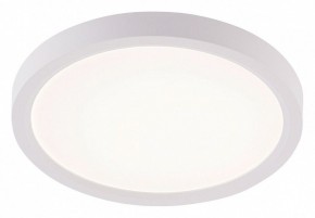 Накладной светильник Natali Kovaltseva PLAIN LED LAMPS 81113/1C в Новоуральске - novouralsk.ok-mebel.com | фото