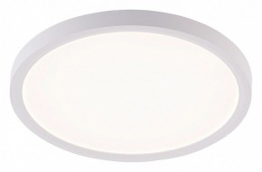 Накладной светильник Natali Kovaltseva PLAIN LED LAMPS 81113/2C в Новоуральске - novouralsk.ok-mebel.com | фото