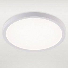 Накладной светильник Natali Kovaltseva PLAIN LED LAMPS 81113/2C в Новоуральске - novouralsk.ok-mebel.com | фото 2
