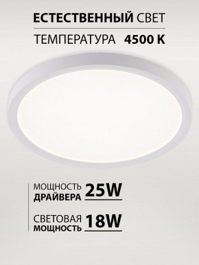 Накладной светильник Natali Kovaltseva PLAIN LED LAMPS 81113/2C в Новоуральске - novouralsk.ok-mebel.com | фото 3