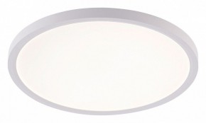 Накладной светильник Natali Kovaltseva PLAIN LED LAMPS 81113/3C в Новоуральске - novouralsk.ok-mebel.com | фото