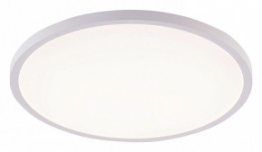 Накладной светильник Natali Kovaltseva PLAIN LED LAMPS 81113/4C в Новоуральске - novouralsk.ok-mebel.com | фото