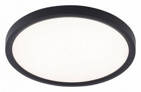 Накладной светильник Natali Kovaltseva PLAIN LED LAMPS 81114/2C в Новоуральске - novouralsk.ok-mebel.com | фото