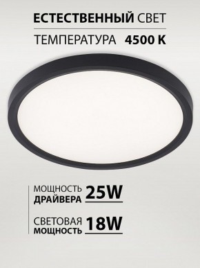 Накладной светильник Natali Kovaltseva PLAIN LED LAMPS 81114/2C в Новоуральске - novouralsk.ok-mebel.com | фото 3