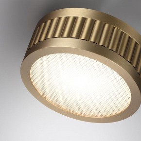 Накладной светильник Odeon Light Manchester 7013/7CL в Новоуральске - novouralsk.ok-mebel.com | фото 5