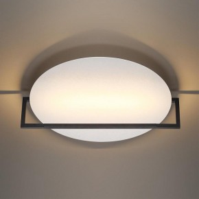 Накладной светильник Odeon Light Next 7015/20WL в Новоуральске - novouralsk.ok-mebel.com | фото 2